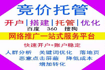 竞价SEM案例分享：行业霸主崛起之路